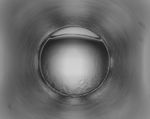 X0000112760349200908271624
