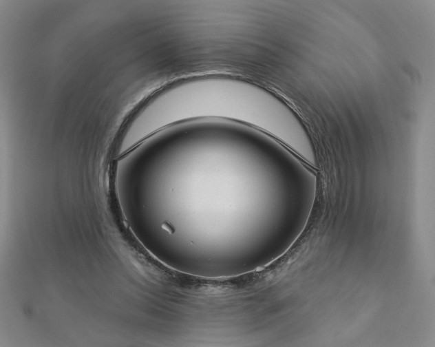X0000112760350200908271624