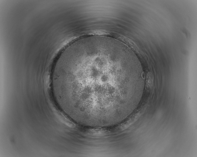 X0000112760351200908271624
