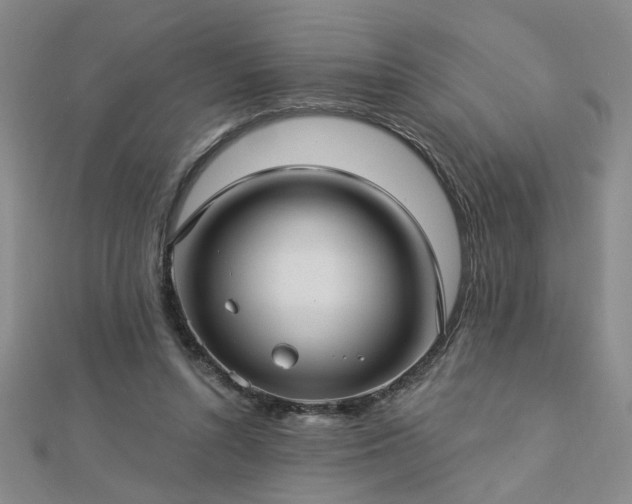 X0000112760352200908271624