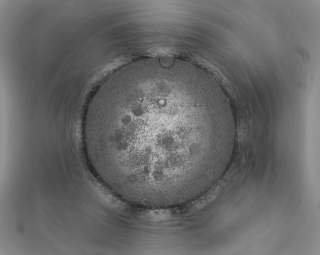 X0000112760353200908271624