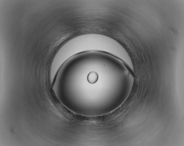 X0000112760356200908271624