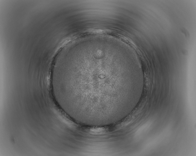 X0000112760357200908271624