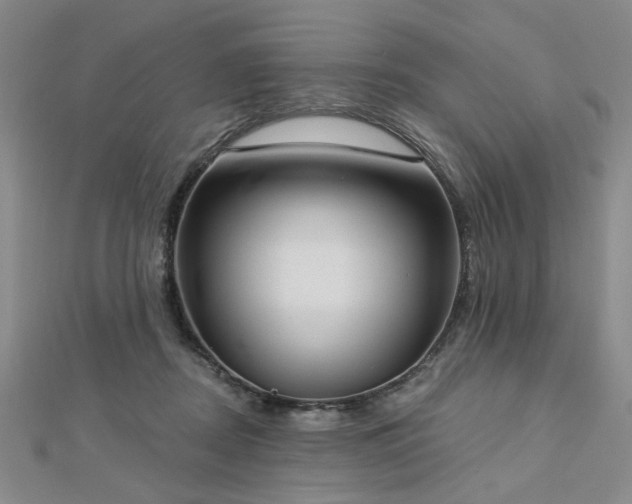 X0000112760362200908271624