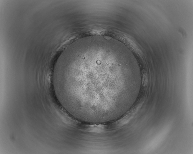 X0000112760363200908271624