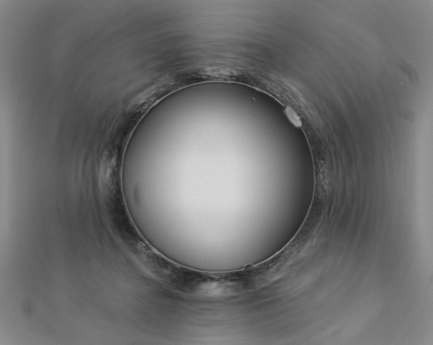 X0000112760364200908271624