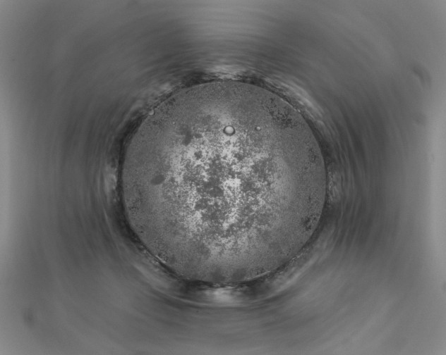 X0000112760365200908271624