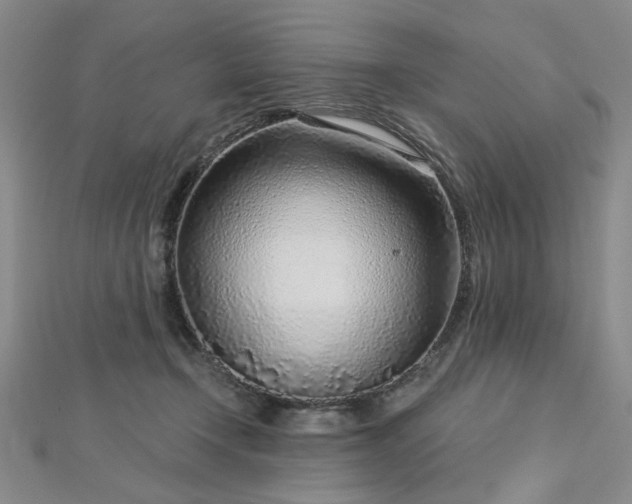 X0000112760366200908271624