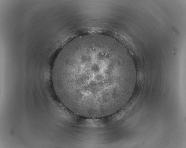X0000112760367200908271624