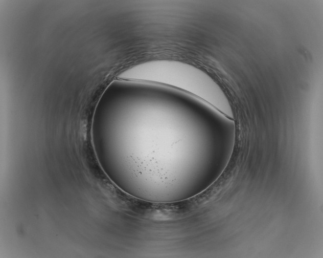 X0000112760368200908271624