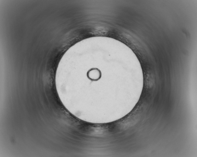 X0000112760370200908271624