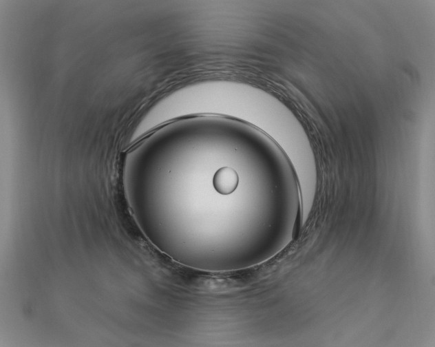 X0000112760372200908271624