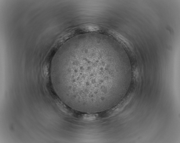 X0000112760373200908271624