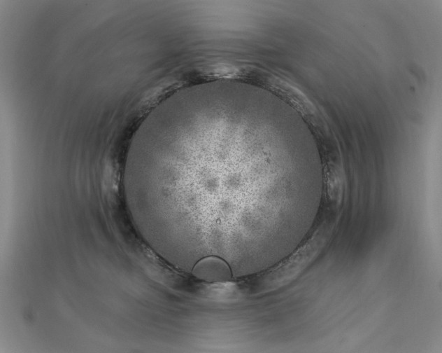X0000112760374200908271624