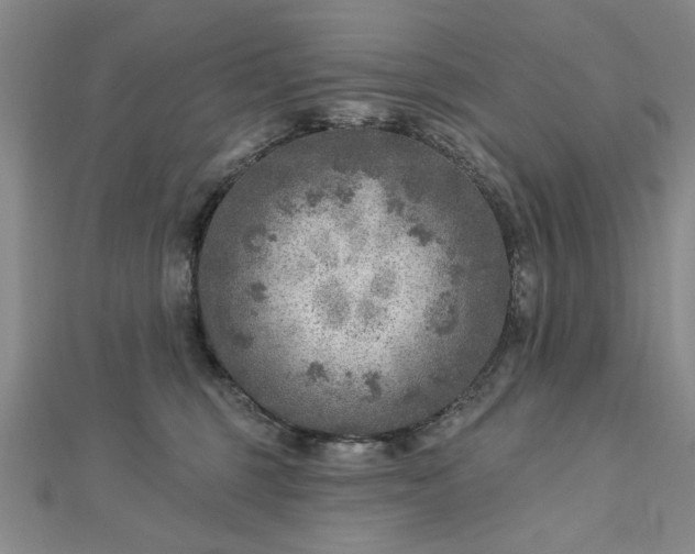 X0000112760375200908271624