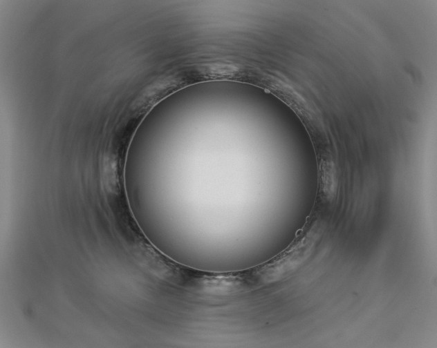 X0000112760378200908271624