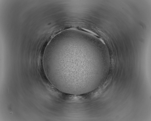 X0000112760379200908271624