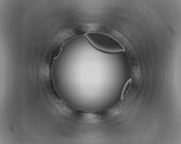 X0000112760380200908271624