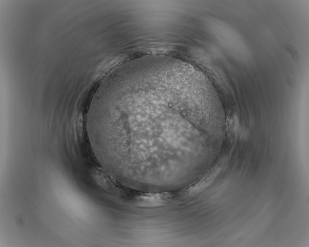 X0000112760381200908271624