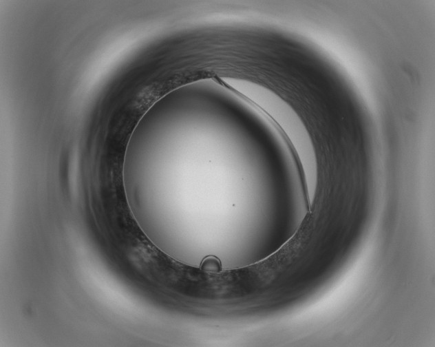 X0000112760382200908271624