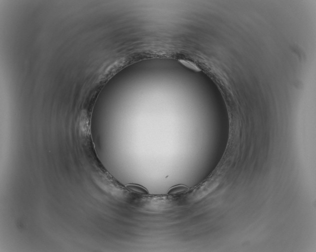 X0000112760384200908271624