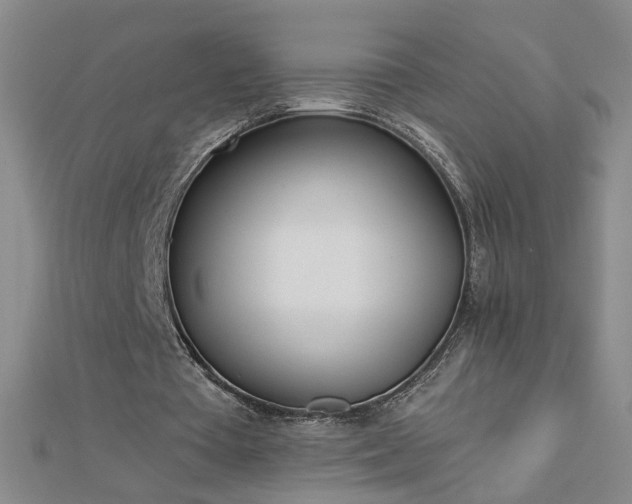 X0000112760385200908271624