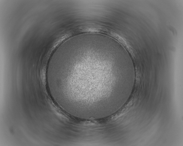 X0000112760386200908271624