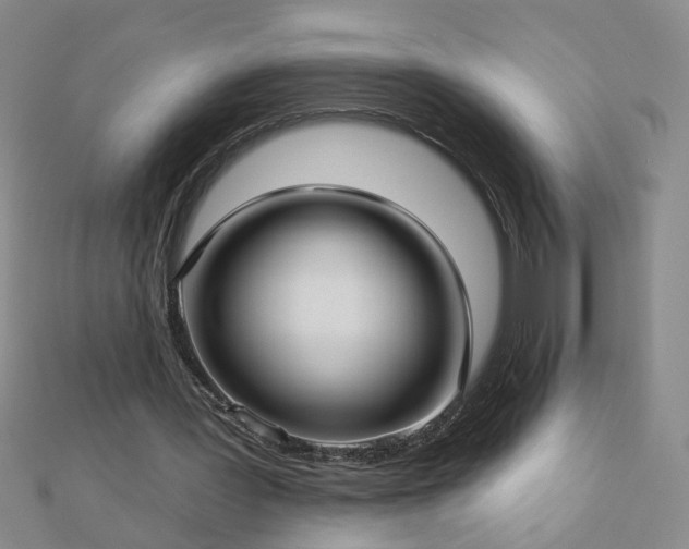 X0000112760387200908271624