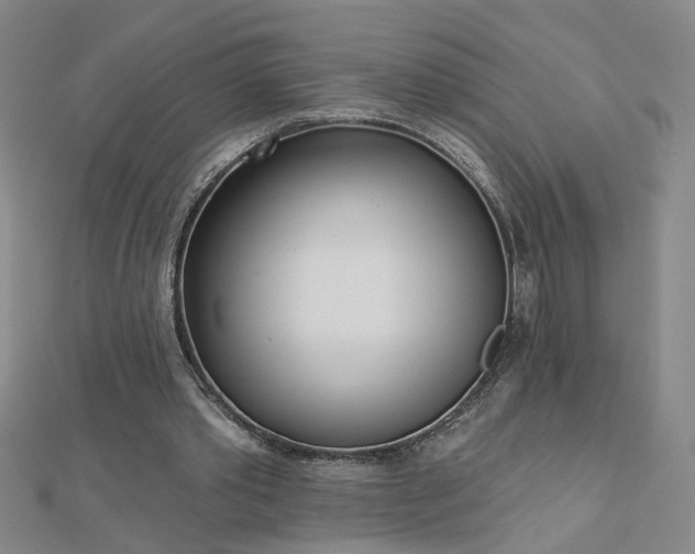 X0000112760389200908271624