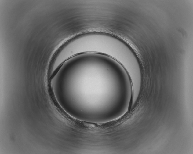 X0000112760391200908271624