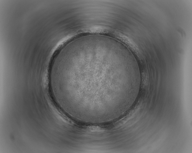X0000112760392200908271624