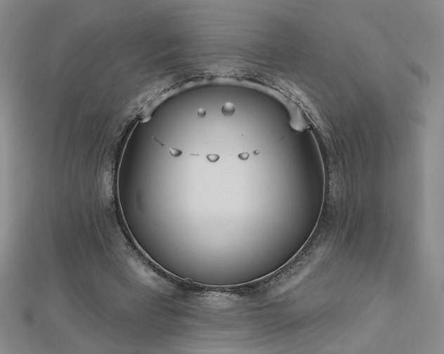 X0000112760393200908271624