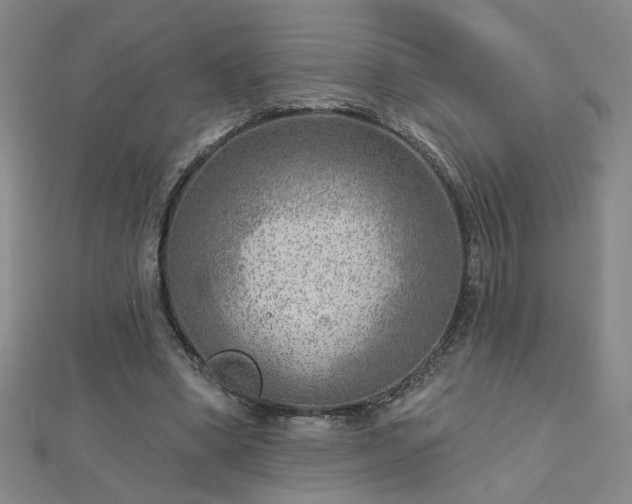 X0000112760394200908271624