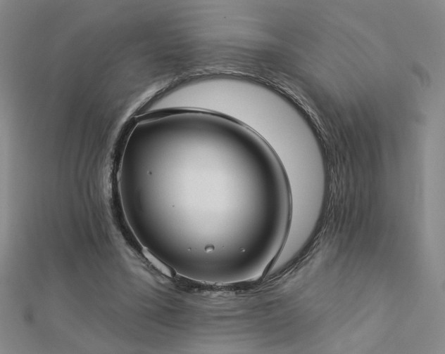 X0000112760395200908271624