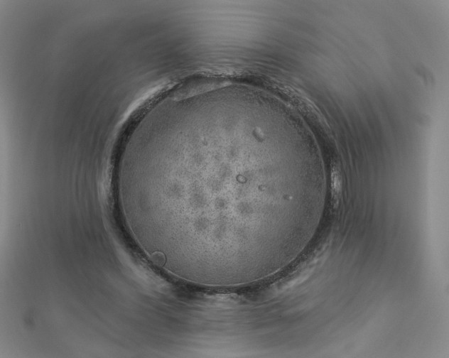 X0000112760396200908271624