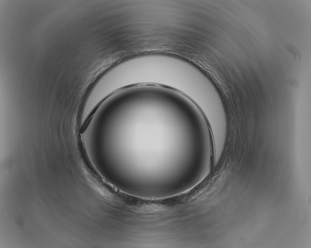 X0000112760397200908271624