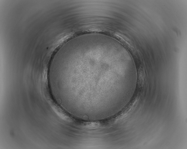 X0000112760398200908271624