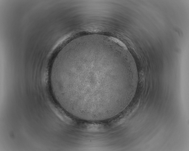 X0000112760400200908271624