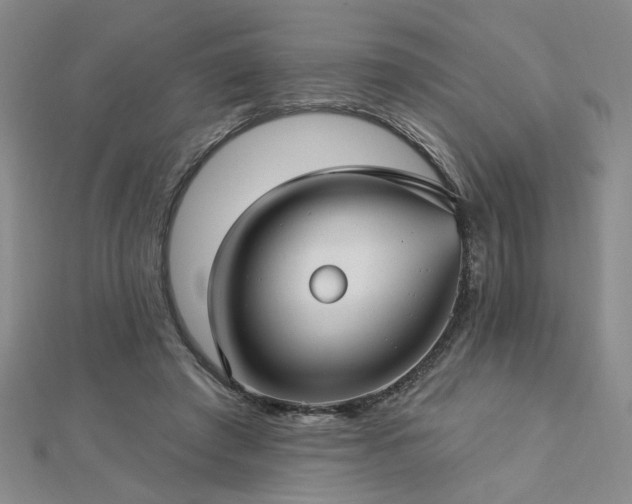 X0000112760401200908271623