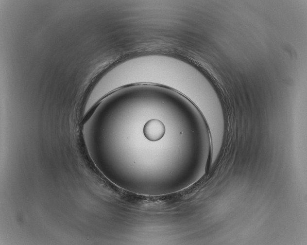 X0000112760403200908271623