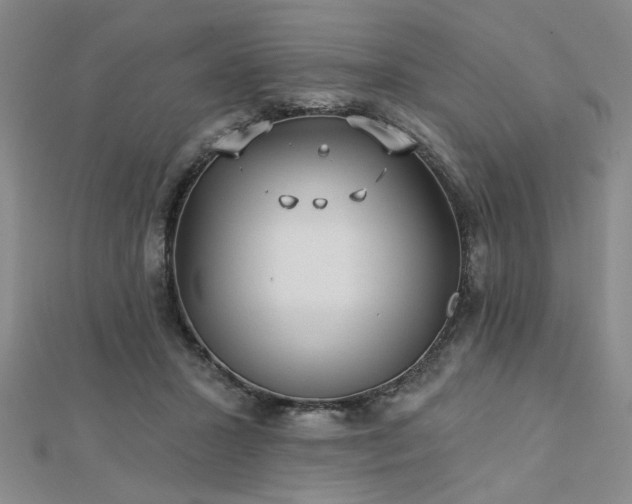 X0000112760407200908271623
