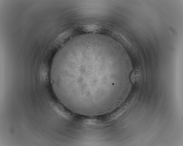 X0000112760408200908271623
