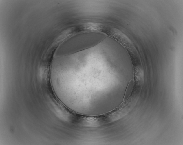 X0000112760409200908271623