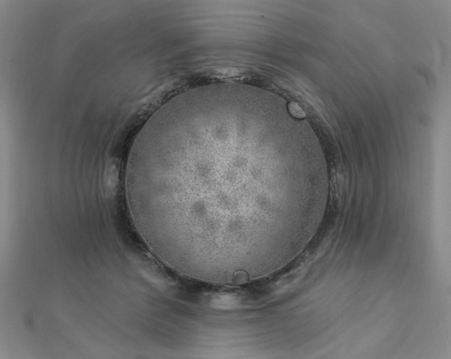X0000112760412200908271623