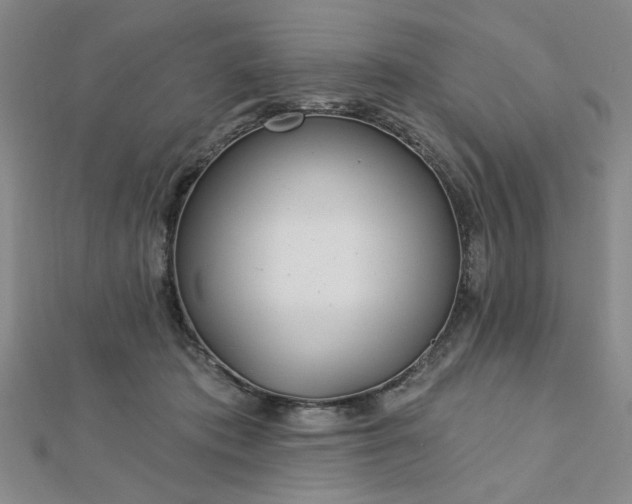 X0000112760413200908271623