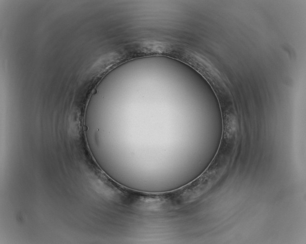 X0000112760414200908271623