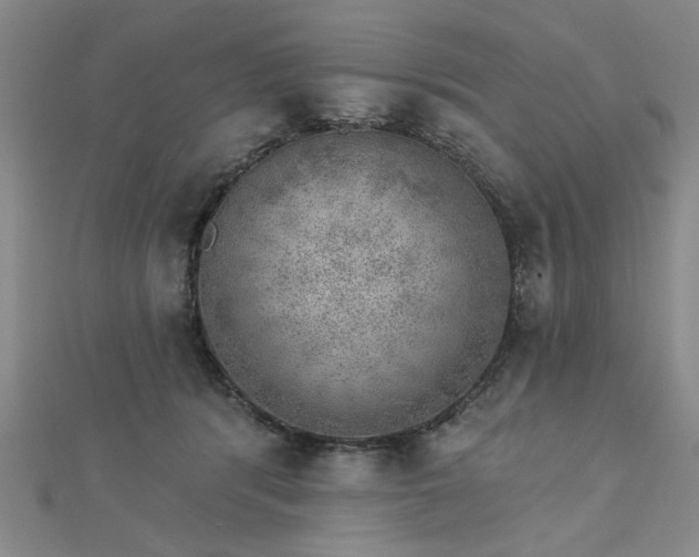 X0000112760416200908271623