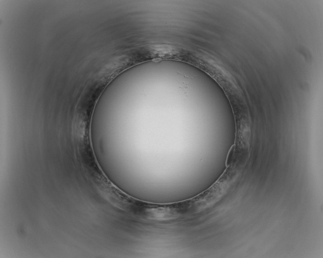 X0000112760417200908271623