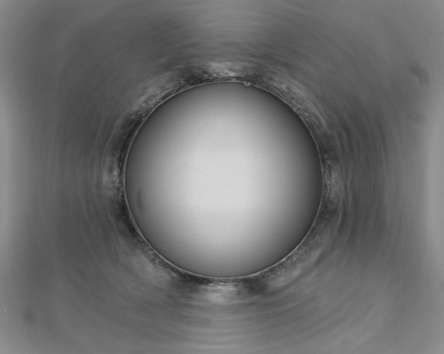 X0000112760418200908271623