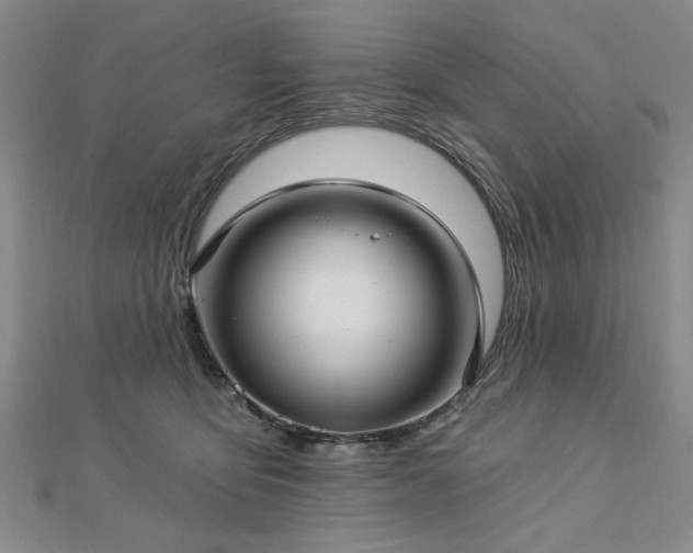 X0000112760419200908271623
